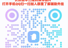 玩家必看攻略！微乐软件定制开发，插件教程